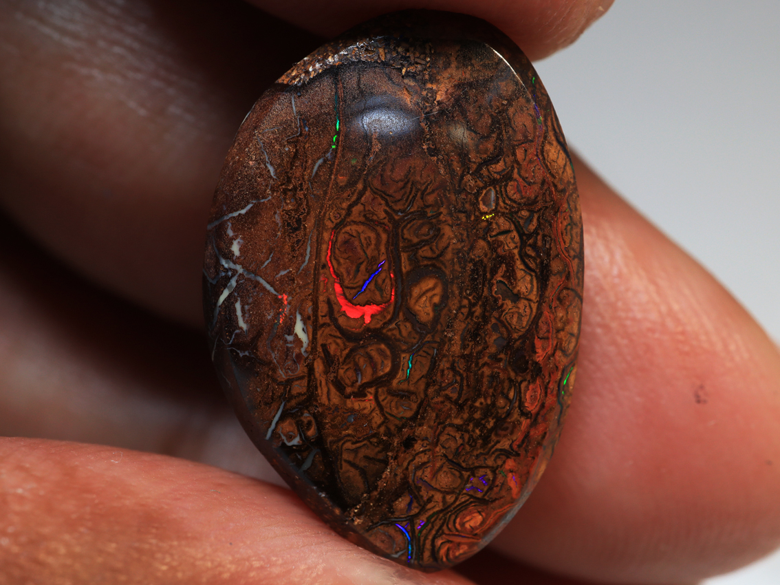 12.50 Ct. Boulder Yowah Polished Opal TOG-1720