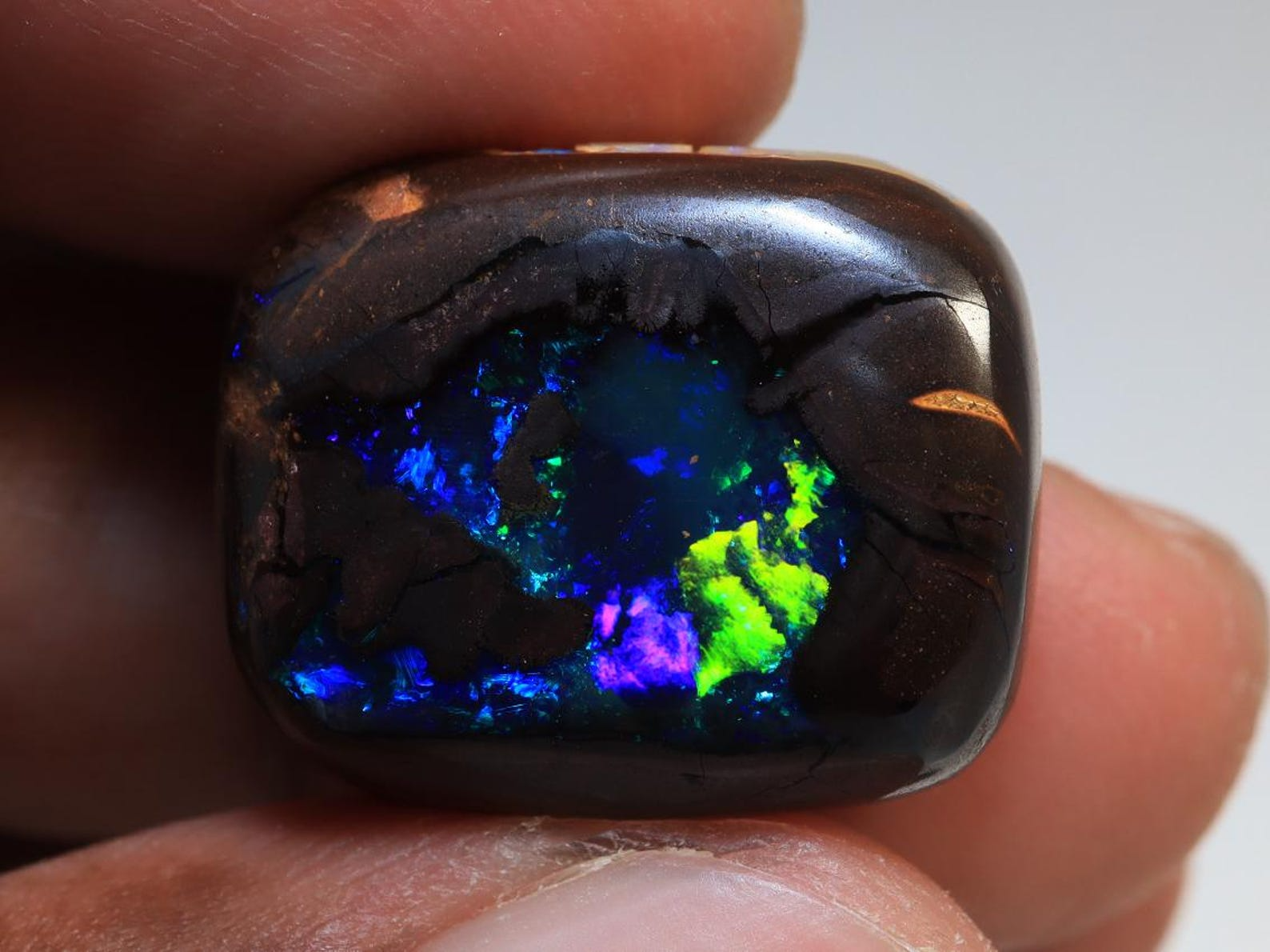 31.20 Ct. Winton Boulder Polished Opal TOG- 1927